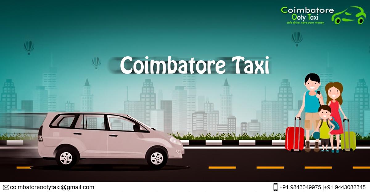 Honeymoon Packages, Wild Life Tour; Exp: More than 15 year