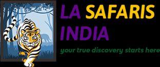 Best Wildlife Tour Packages from Delhi 