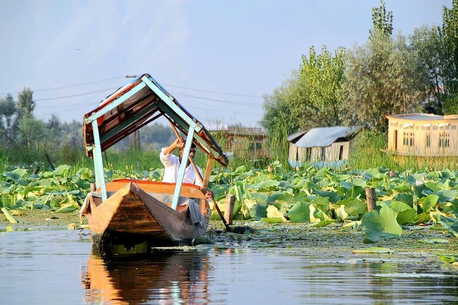 Kashmir Tour Packages from Ahmedabad: Unforgettable Escapes