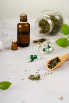 bestnaturecure.in | Naturopathy Treatment For Diabetes