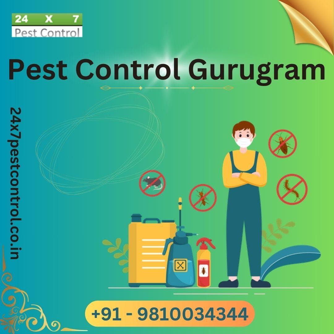 Pest Control; Exp: More than 15 year