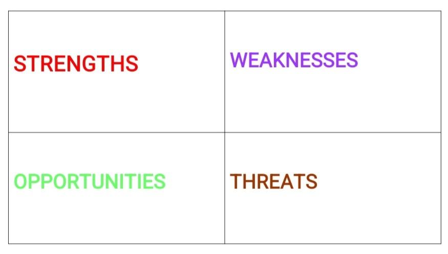 Pitchdeck with Swot analysis and approximate financial data 