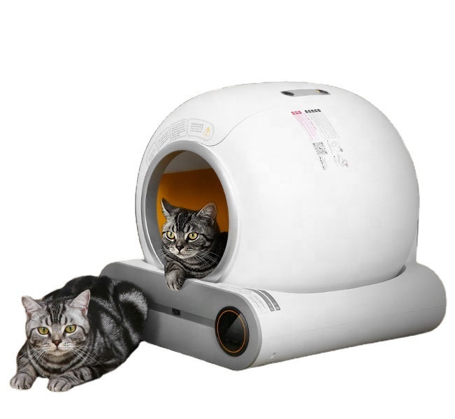 5 things to keep in mind before buying a smart cat litter box