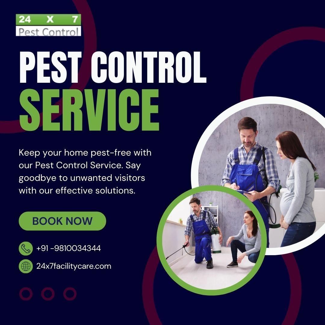 Effective Pest Control Gurgaon, Haryana - 24x7 Pest Control 