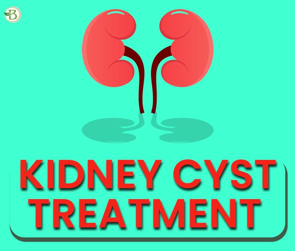 Alternative Treatments for Chronic Kidney Disease