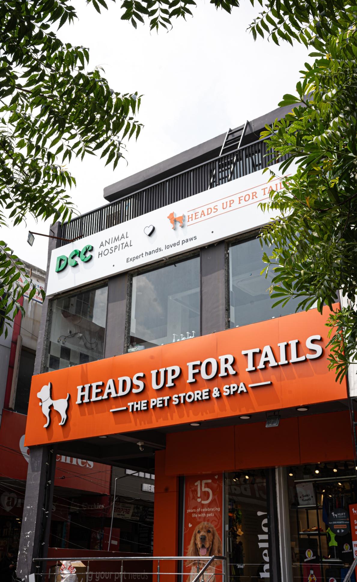 DCC Animal Hospital - Best Pet Clinic in Noida Sec 50