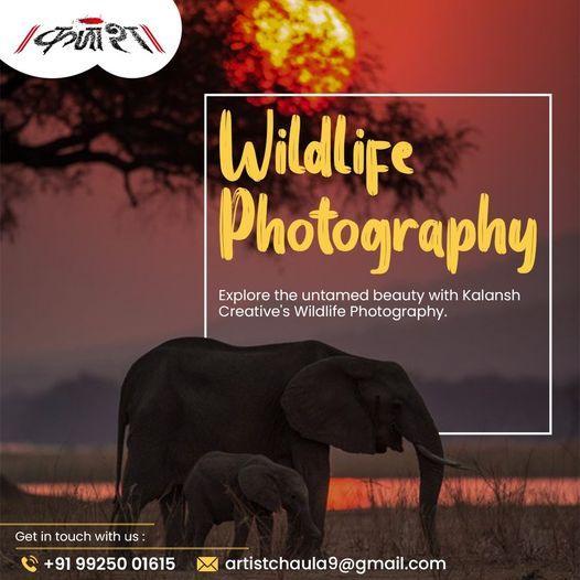 Wildlife photography services in Ahmedand