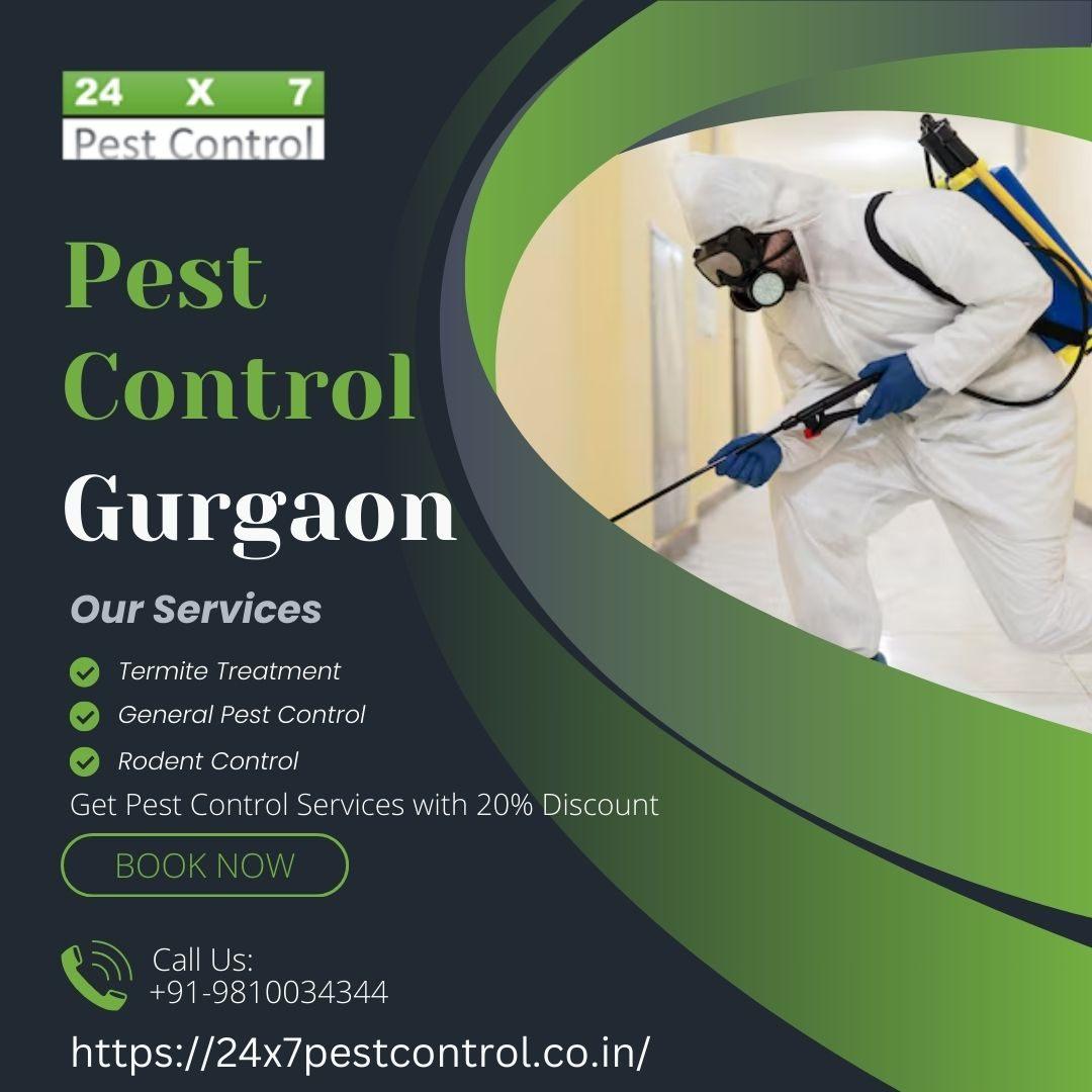 Best Pest Control in Gurugram