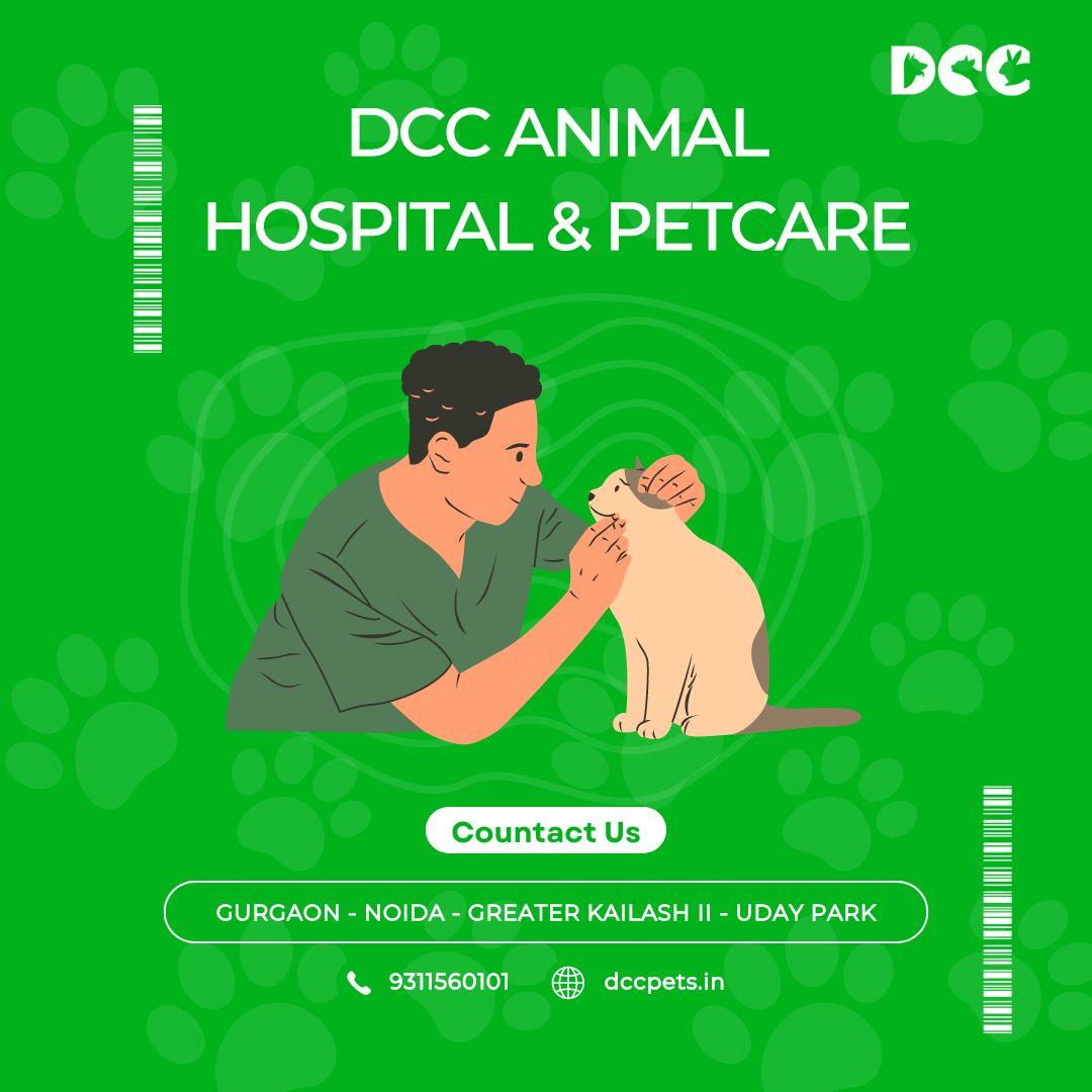 Dog Hospital in Greater Kailash