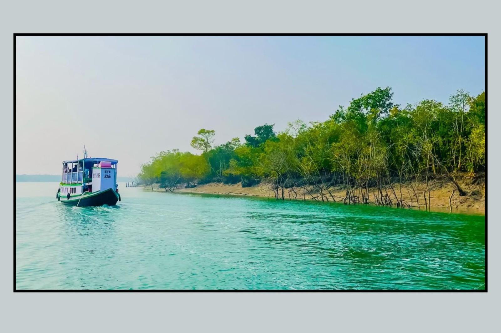SUNDARBAN TOUR FROM KOLKTA 2024