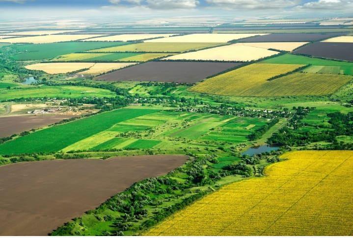 The Origin Sasoli Plot Near airport in North Goa 