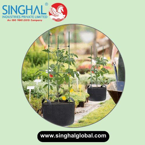 Grow Bags: Perfect for Any Plant, Any Space