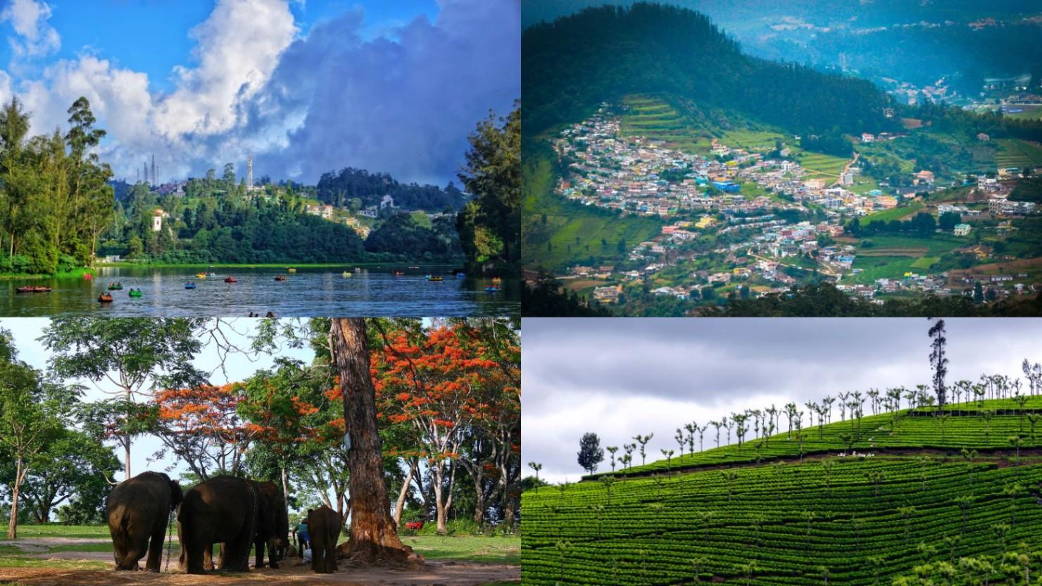 5-Day Bangalore to Coorg and Ooty Adventure: A Journey through Nature's Bounty!