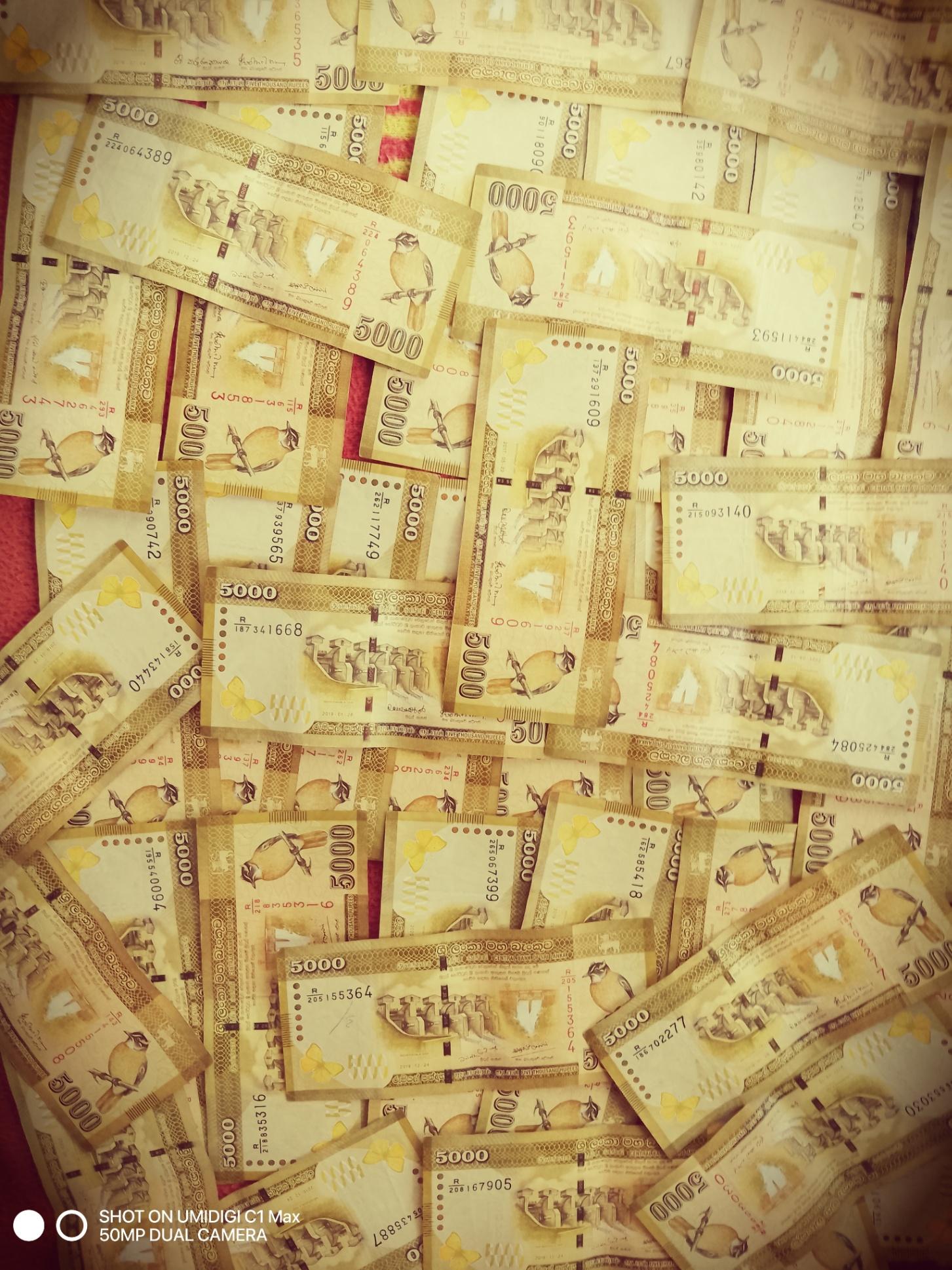 1xbet betting site,,, free reji