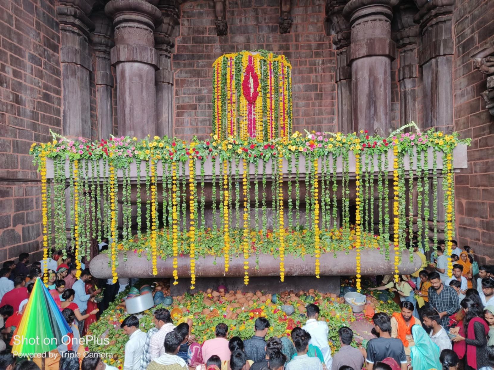 Ffghhhhhhhjjhhhvssryvv