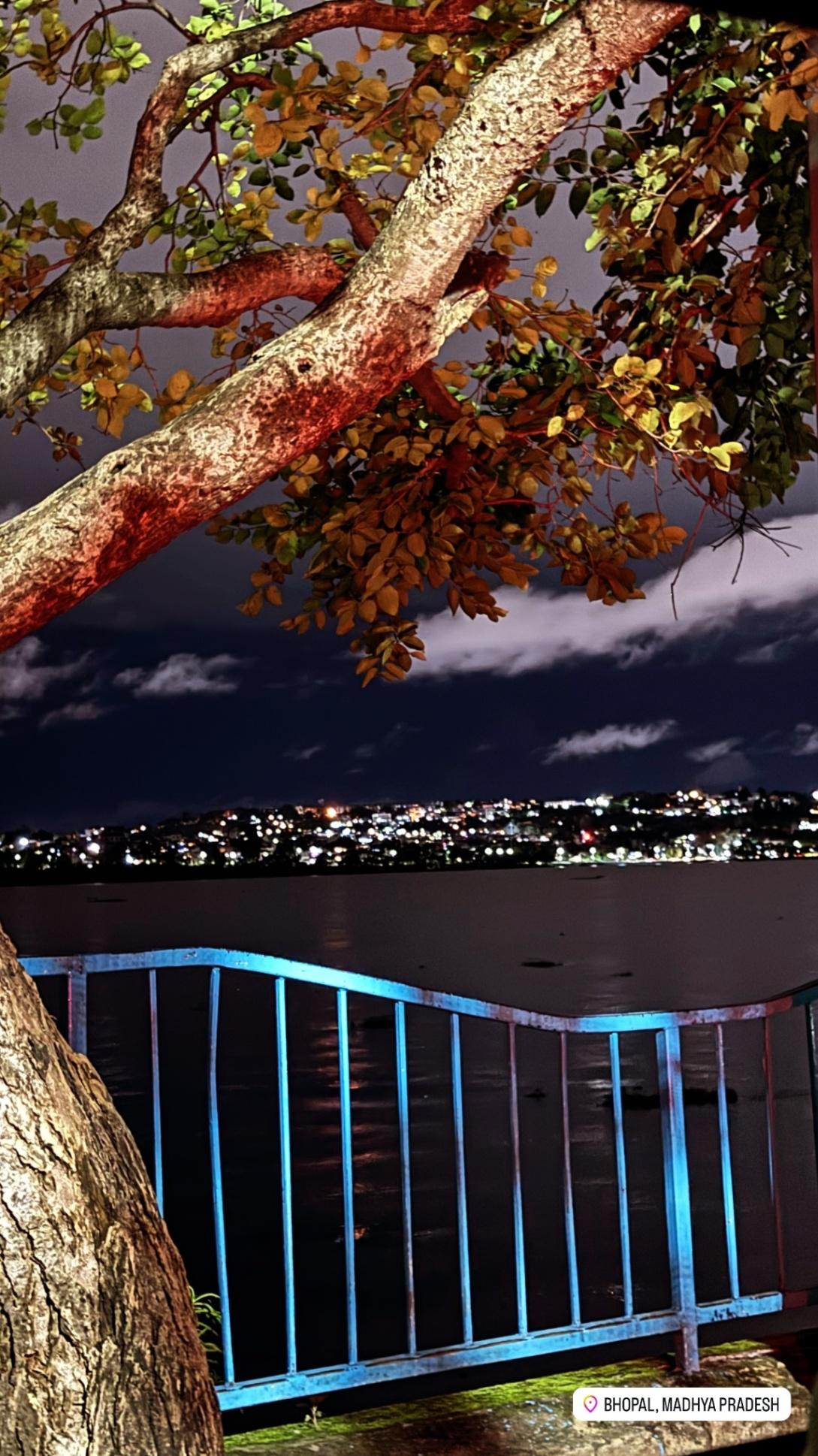 Bhopal night beauty in rain