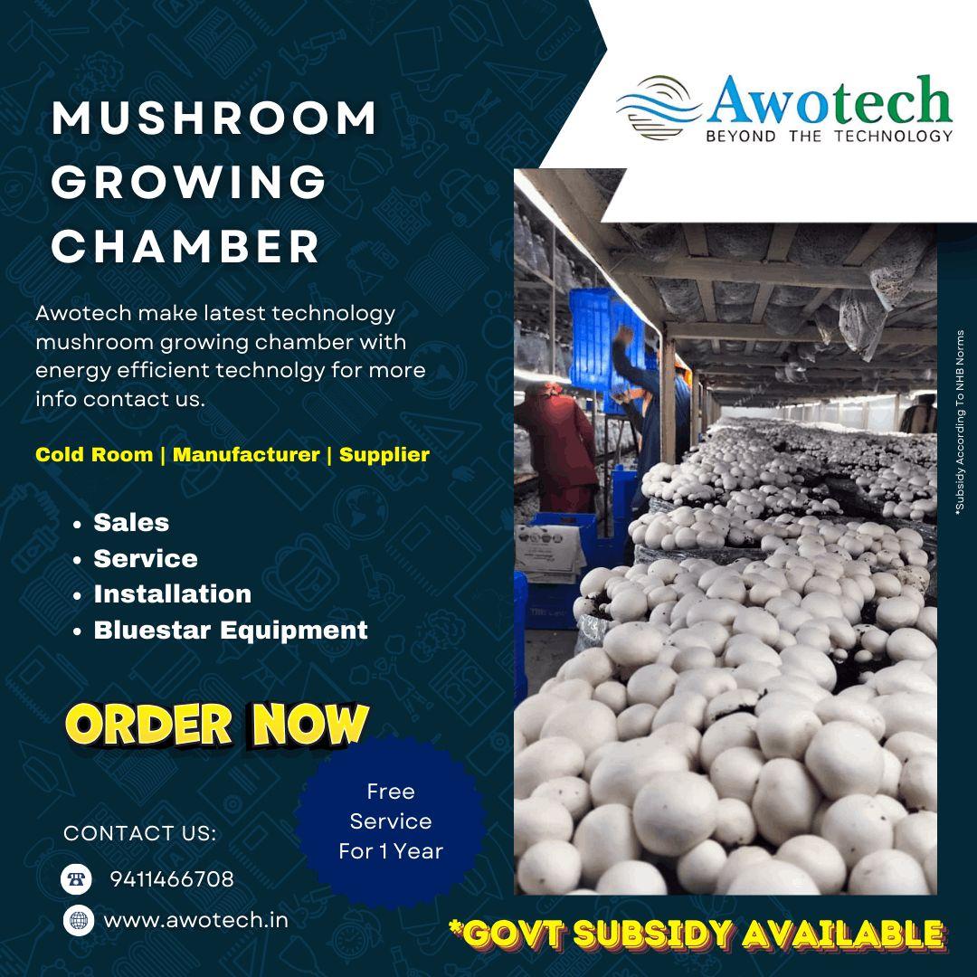Mushroom Growing Cold Storage Manufacturers - Awotech