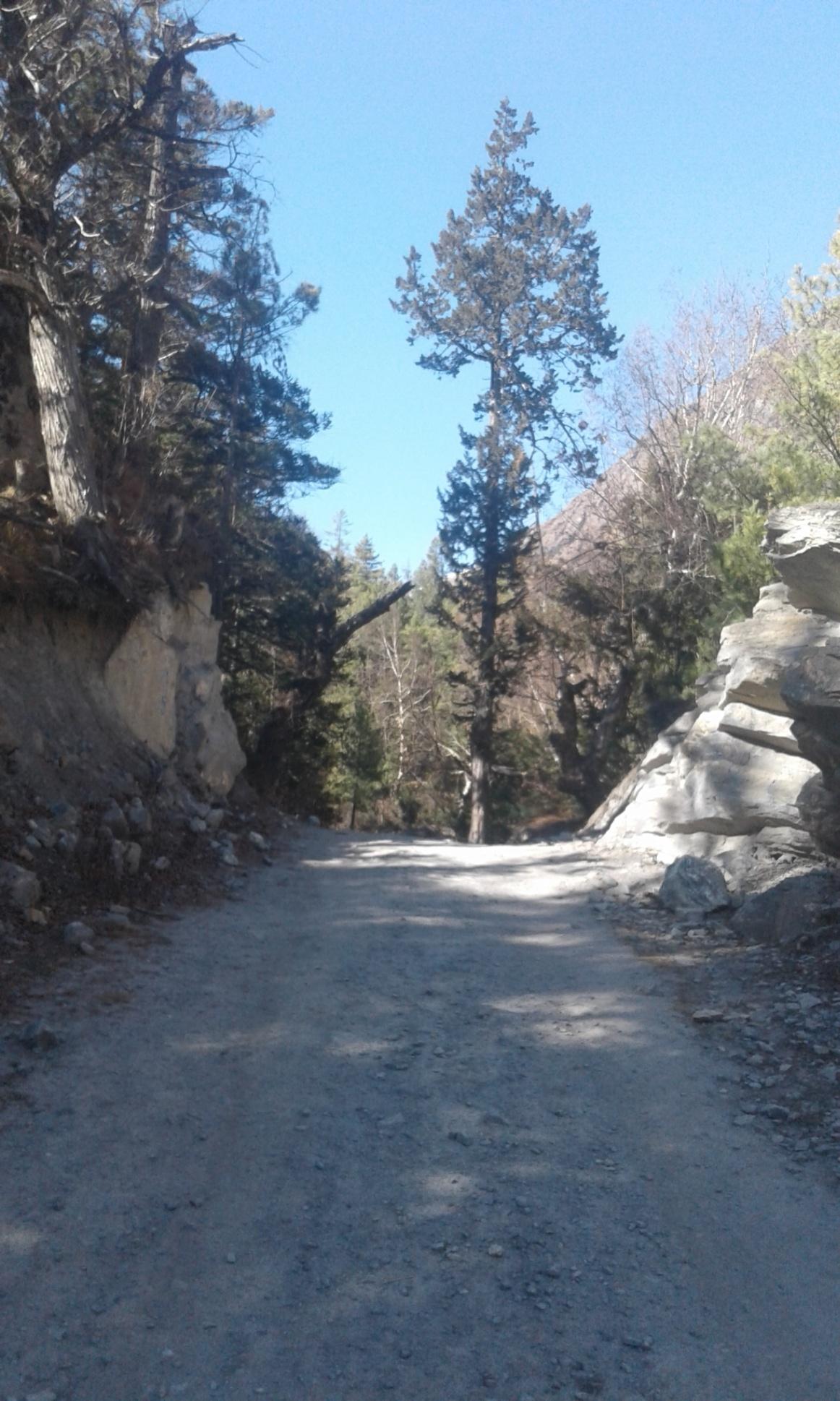 Annapurna Circuit Trek | Adventures Women | Solo Female Traveler