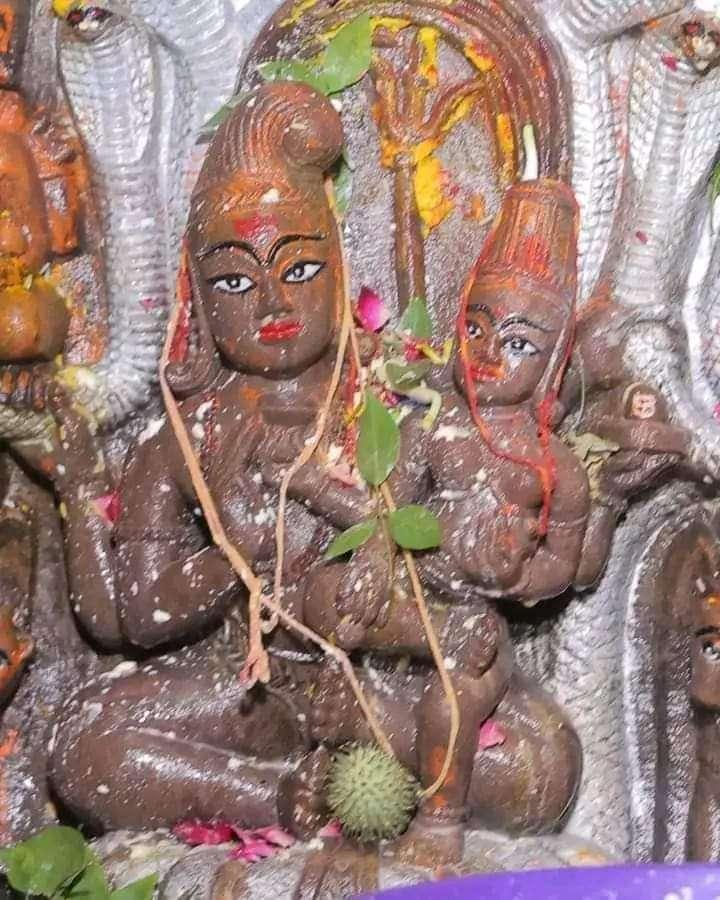 Happy nagpanchmi to alll