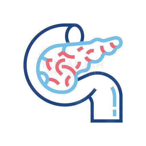 Best Pancreatic Cancer Treatment Hospitals in Vijayawada