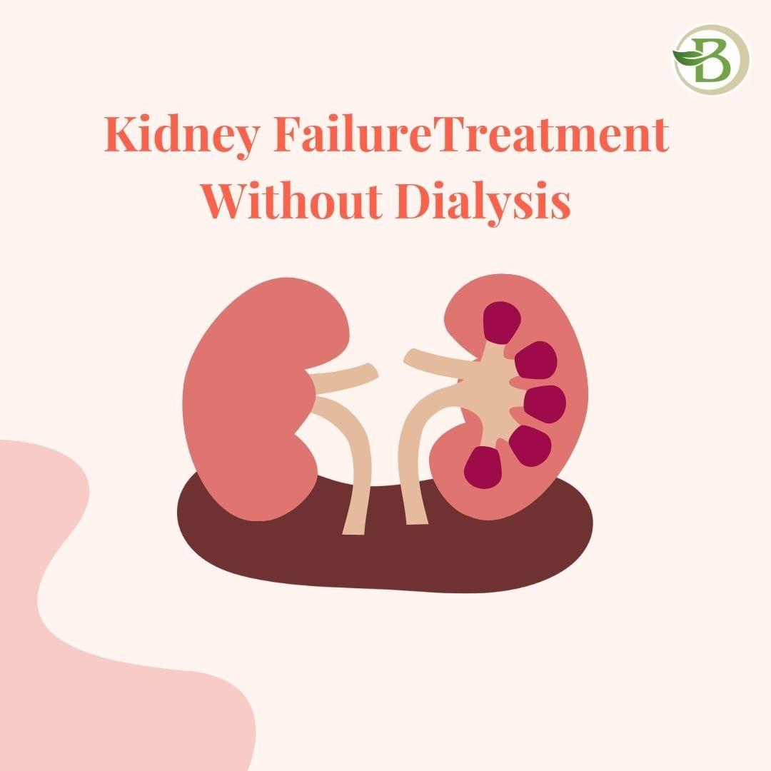 Kidney Failure Treatment Without Dialysis: Alternative Treatments
