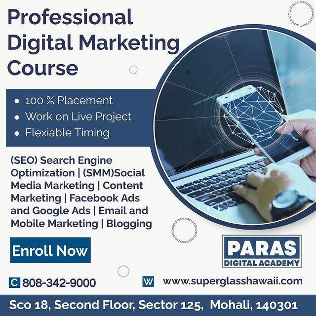 Digital Marketing Coaching in Mohali | Paras Digital Academy