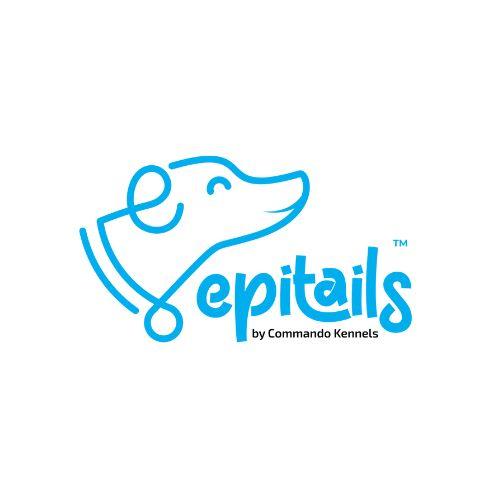 Dog Boarding service in Hyderabad