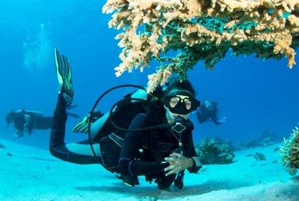 Andaman Adventure Tour Packages