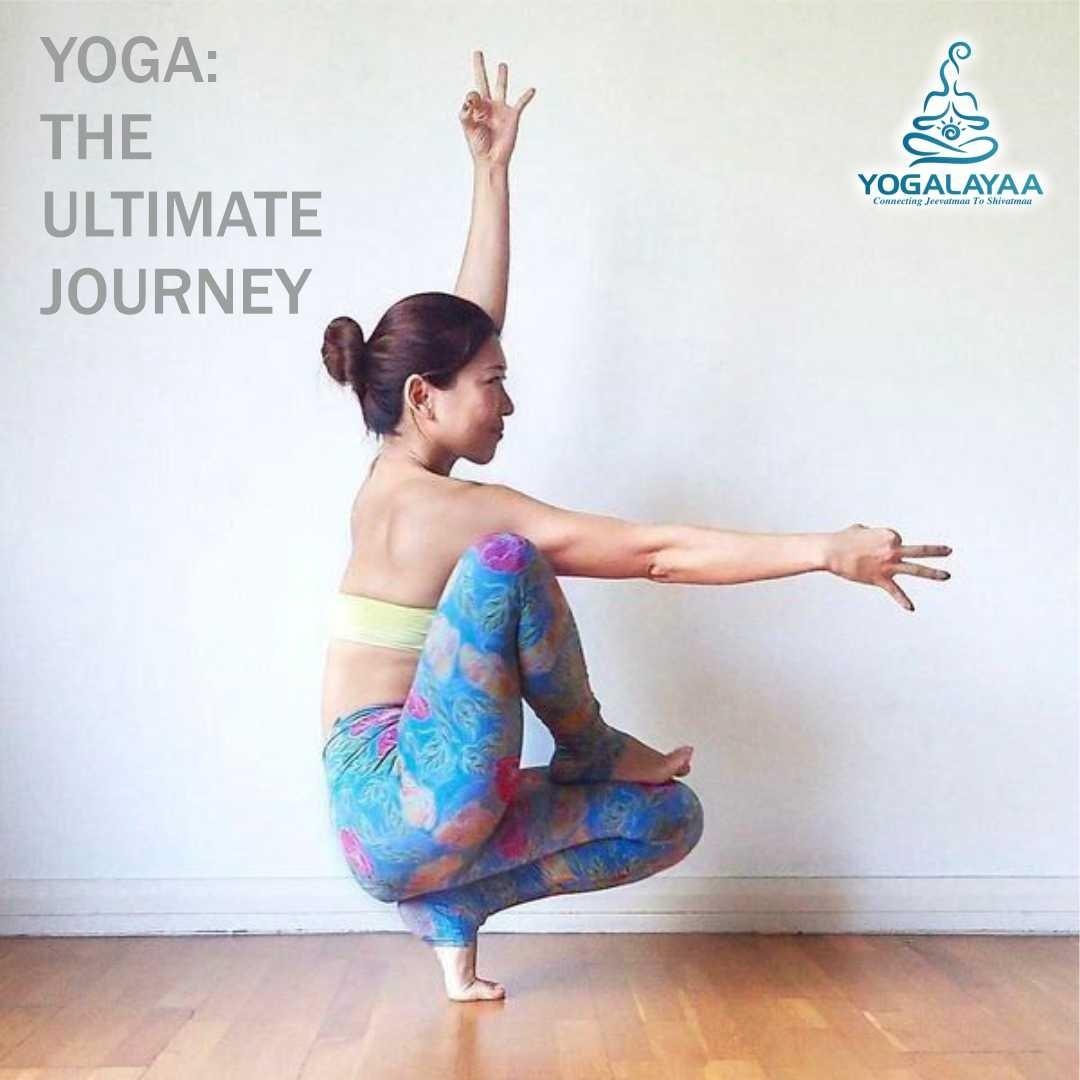 Yoga School in Goa|Yogalayaa