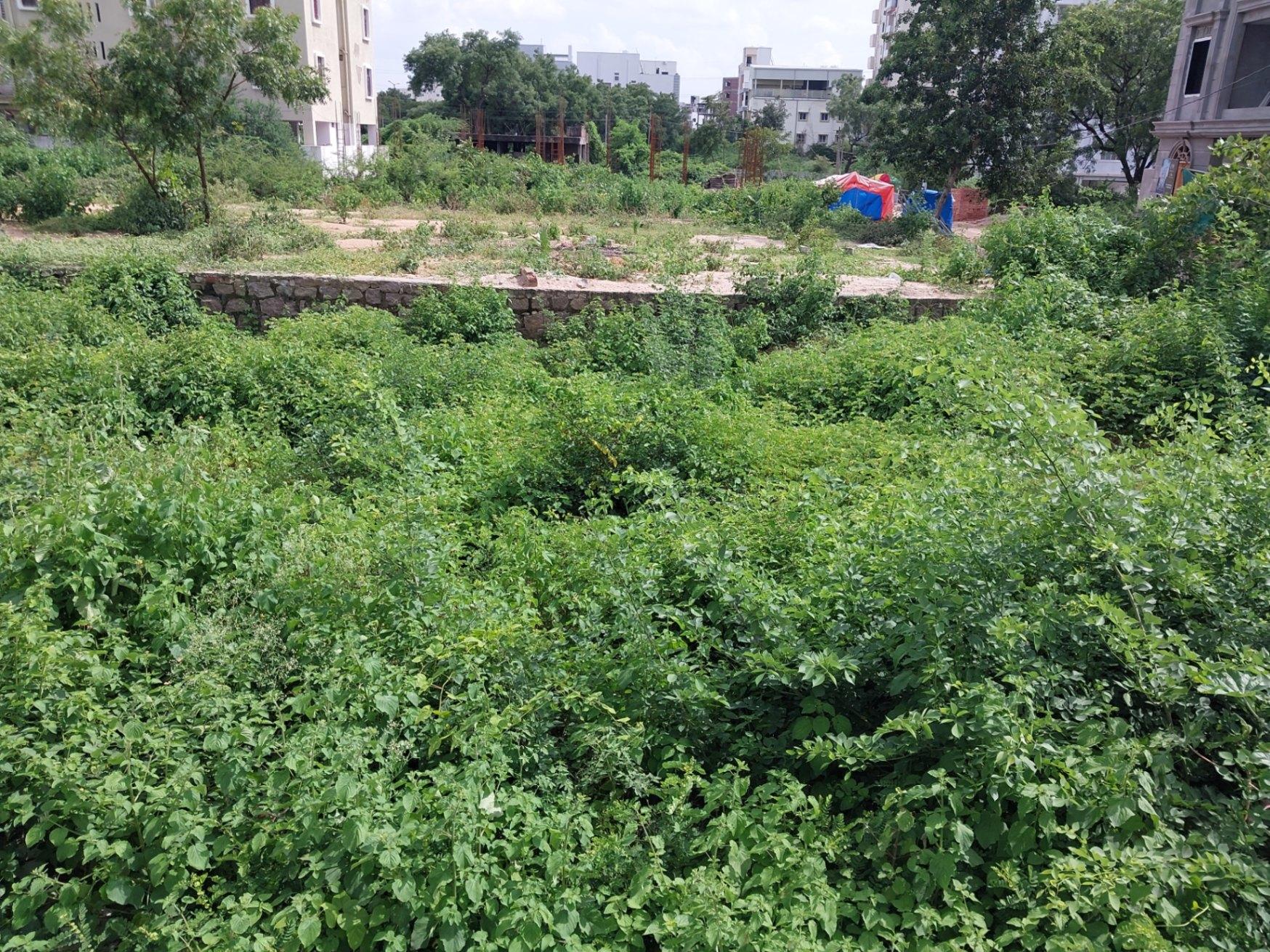 area it's just a post not sale