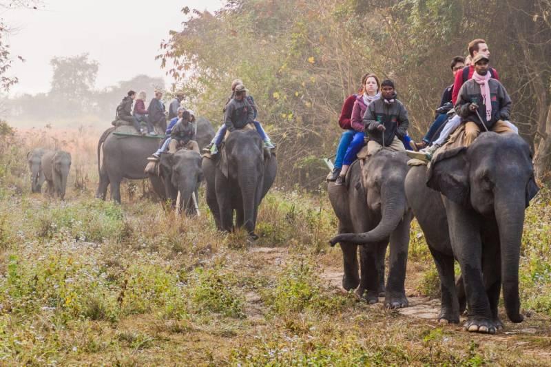 Assam Tour Packages: Discover Nature, Wildlife, and Culture