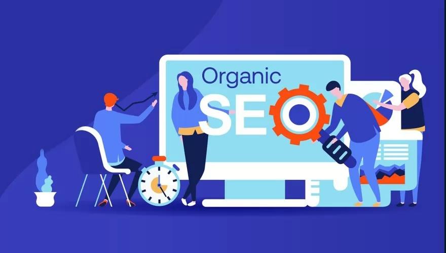 Organic SEO Services in Kolkata