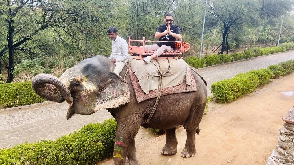 Elephant Safari in Jaipur with Elefriendride!