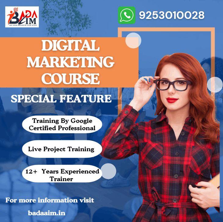 Best Digital Marketing Course In Rohtak