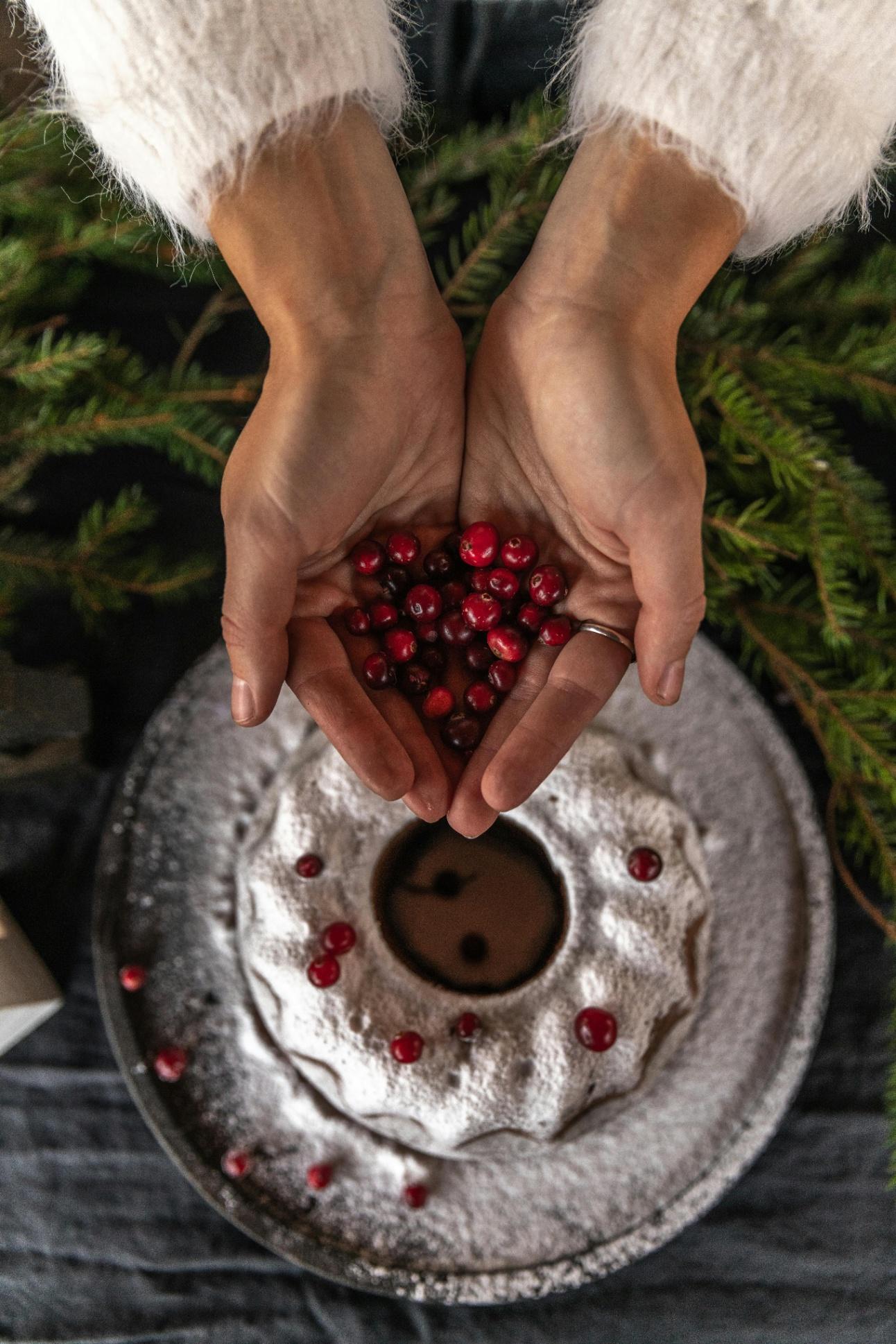 Delicious Tiffin Recipes for Every Palate