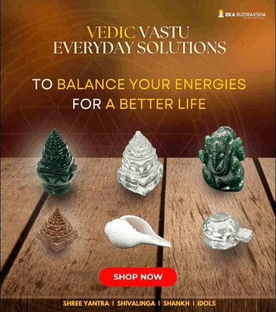 Rudraksha mala, bracelet, gold chain