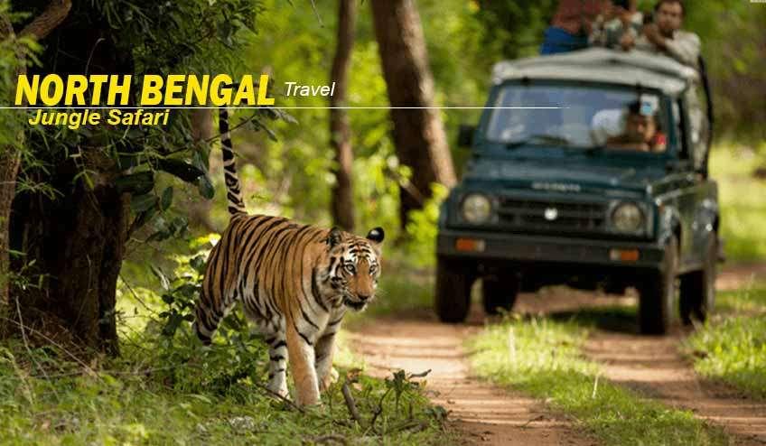 Book Wonderful North Bengal Tour Package from NJP with NatureWings