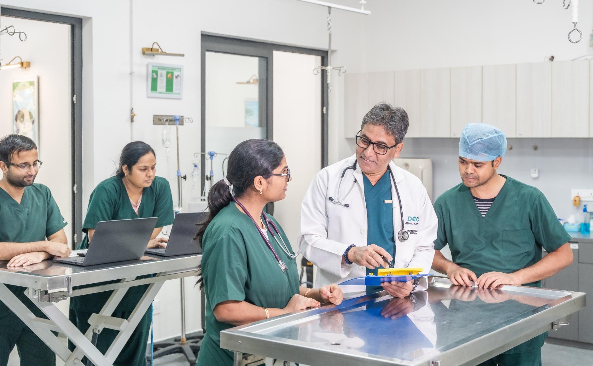 Best Animal Hospital Near Me - DCC Animal Hospital