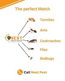 NEST- New Era Solutions & Treatment
