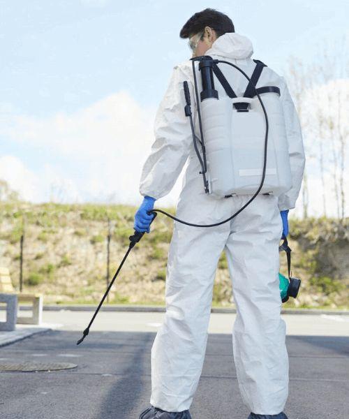 Professional Resume Writing Services Land Your Dream Job Today