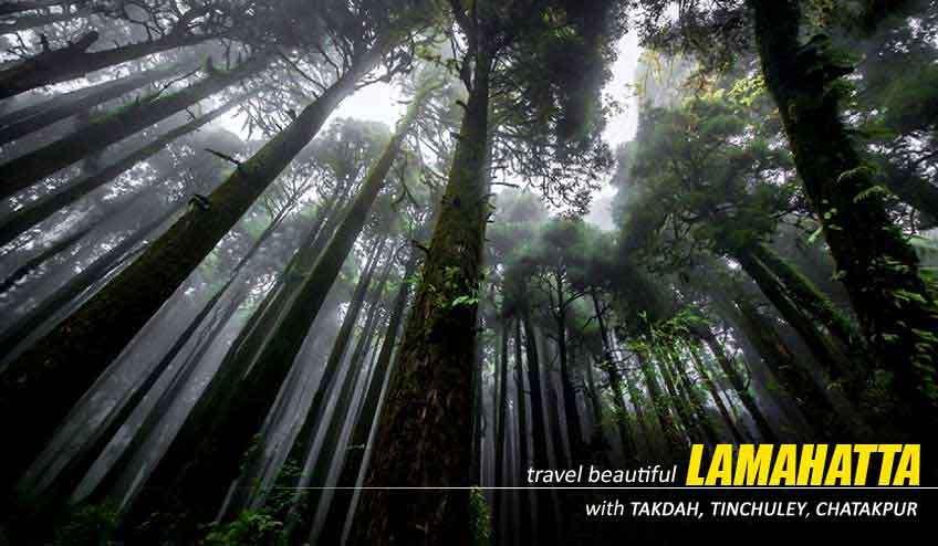 Amazing Lamahatta Tour Booking Package from NJP in 2024 winter Holidays