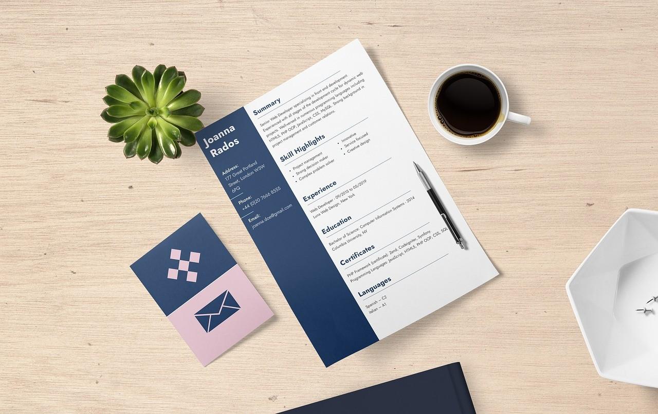  Create an Impressive Visual CV to Stand Out from the Crowd