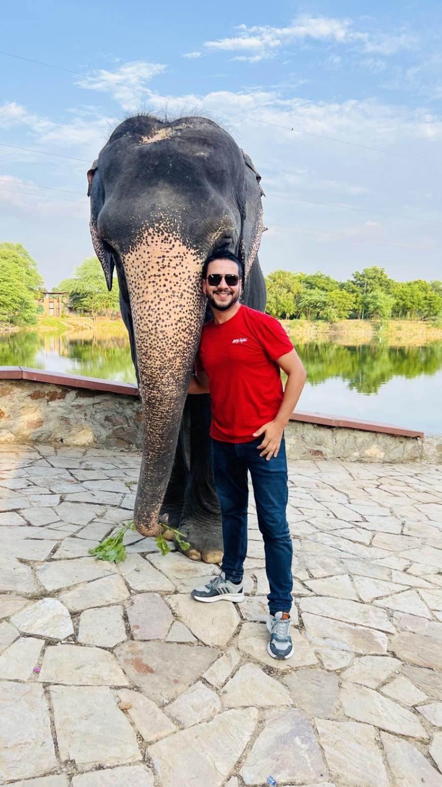 Elephant Rides in Jaipur: A Unique Experience at Elefriendride