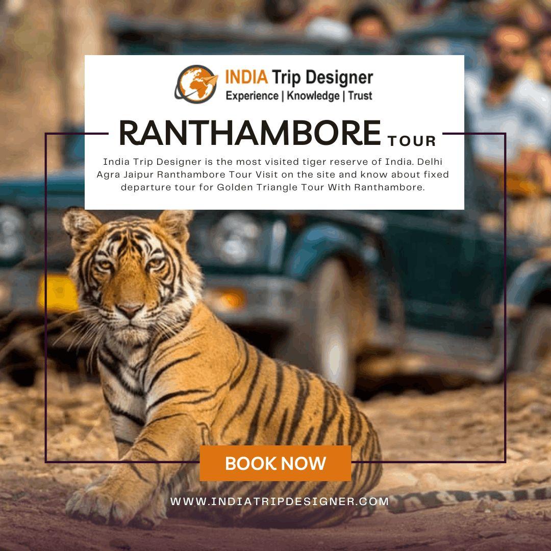 Golden Triangle Tour Packages