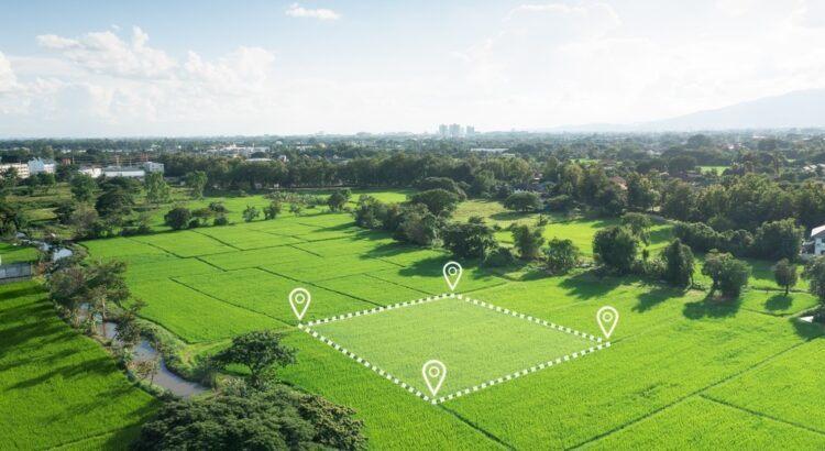 6 Plot Investment Myths Debunked: What You Need to Know Before Buying Land