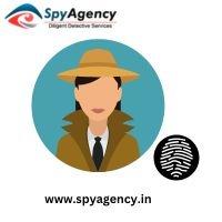 Private Detective Agency
