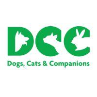 Best Veterinary Hospital in Delhi: DCC Animal Hospital