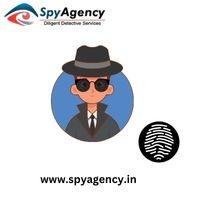 Post Matrimonial Investigation