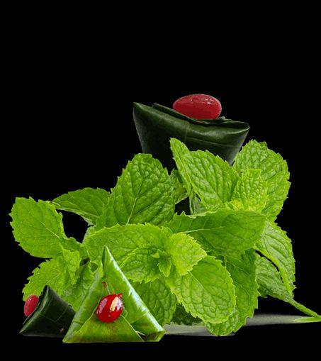 Paanking - Premium Paan Franchise Options in India