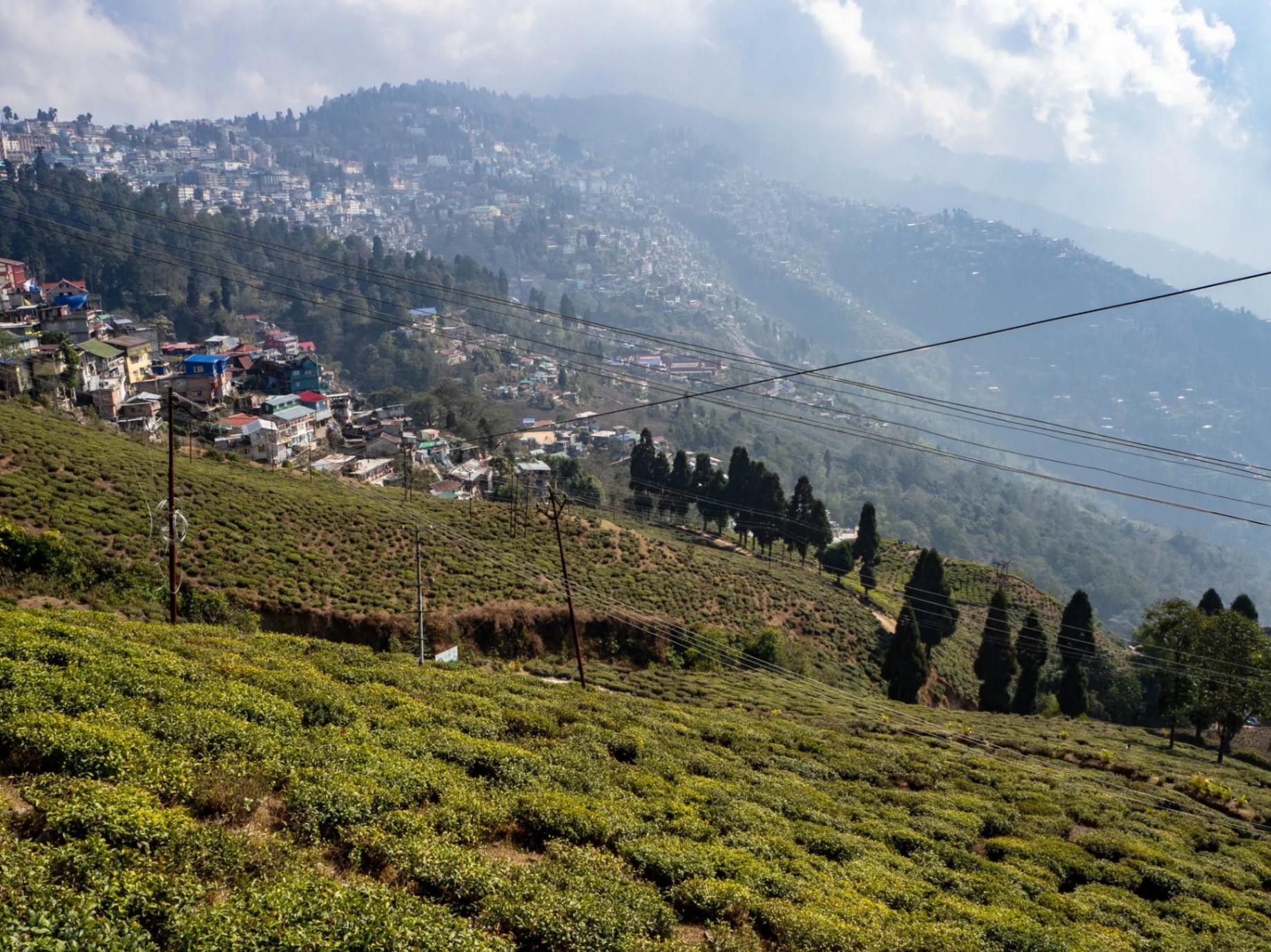Romantic Darjeeling Honeymoon Package, Perfect Start to Your New Journey!